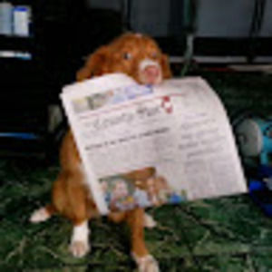 Meet your Posher, Leslie